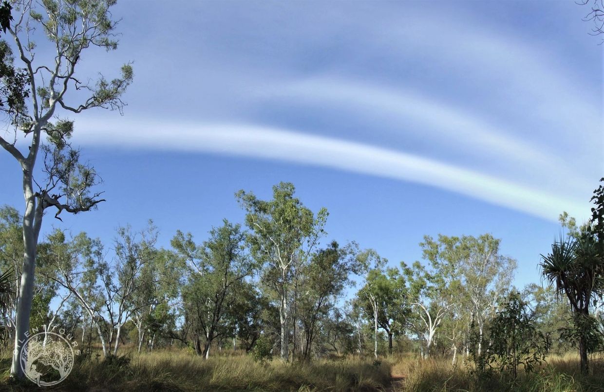 Kimberley Nature Walks with Silent Tours.
Copyright © 2022 Silent Tours - All Rights Reserved