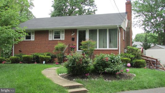 Rental Basement Apartment in a quiet neighborhood in Falls Church, Inside the beltway.  Minutes to t