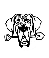 The Scoop LLC