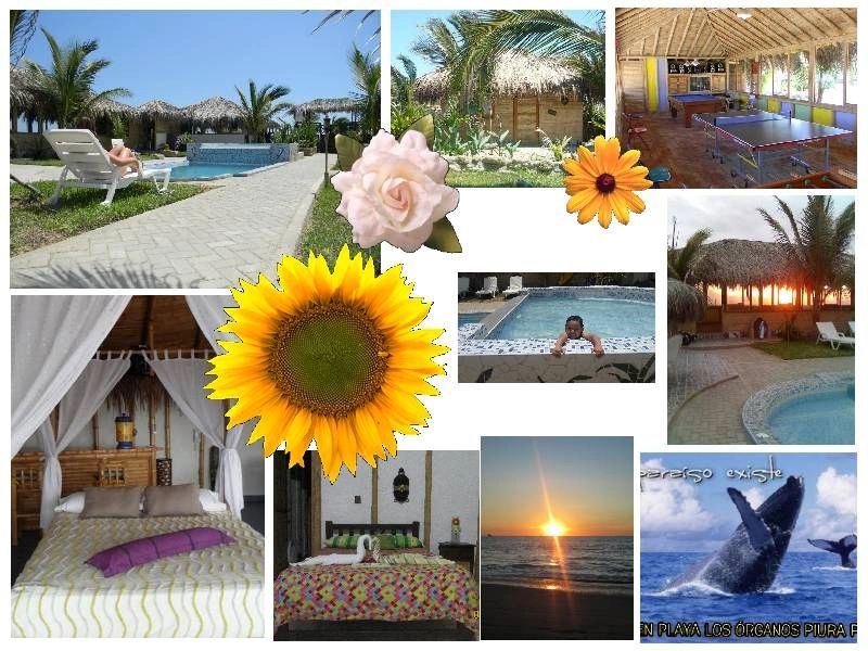 BOra BOra BungalOws — instalaciones 9