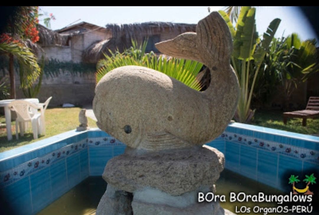 BOra BOra BungalOws — instalaciones 8