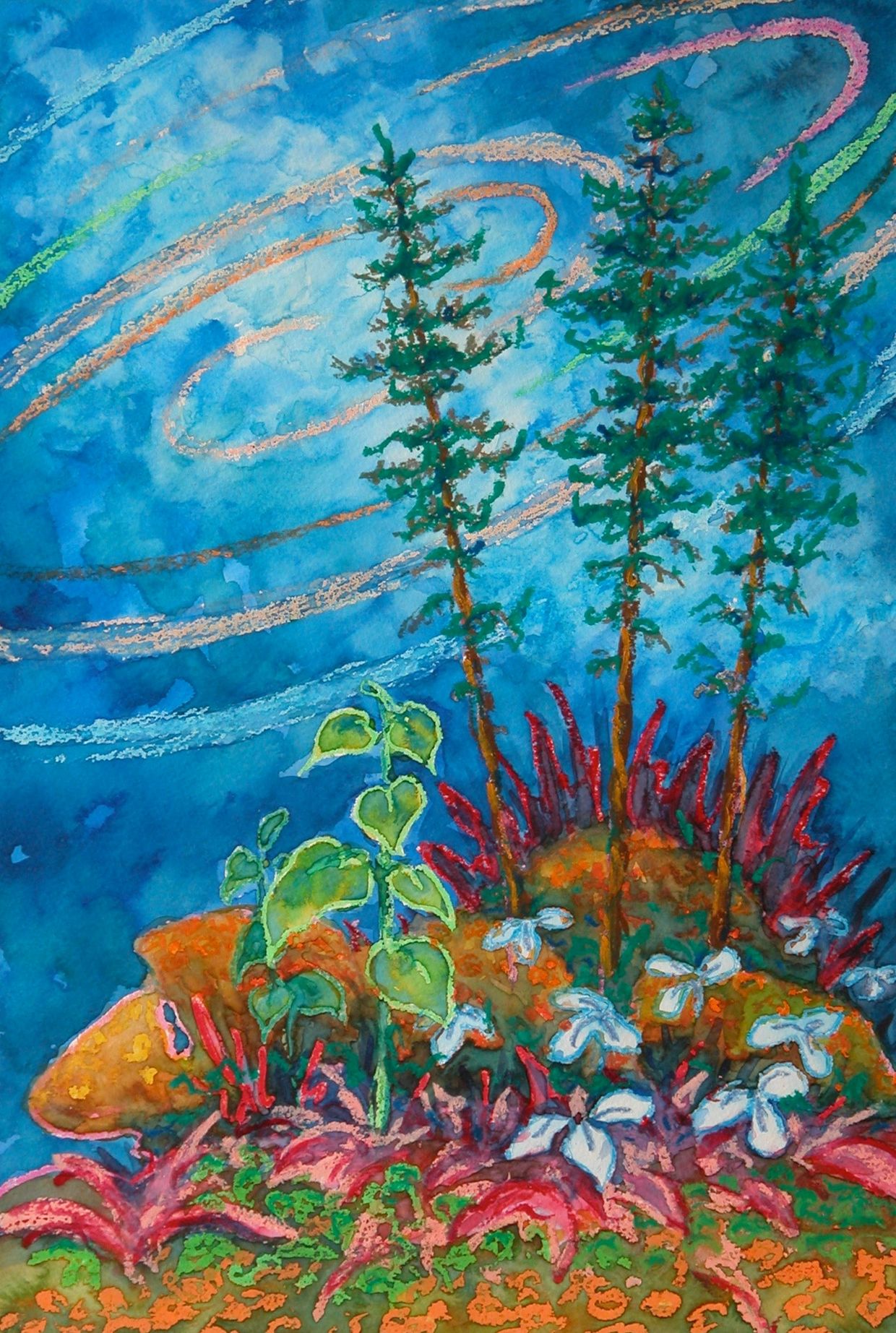 Northern Lights