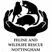 Feline and Wildlife Rescue Nottingham