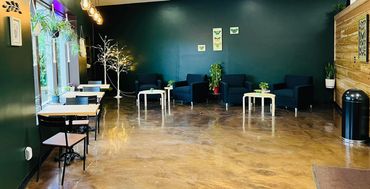 Cozy Coffee Shop with Plants