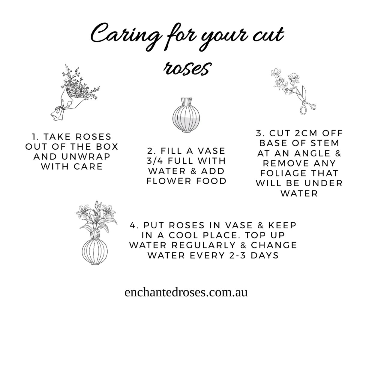 How to care for fresh cut roses. 