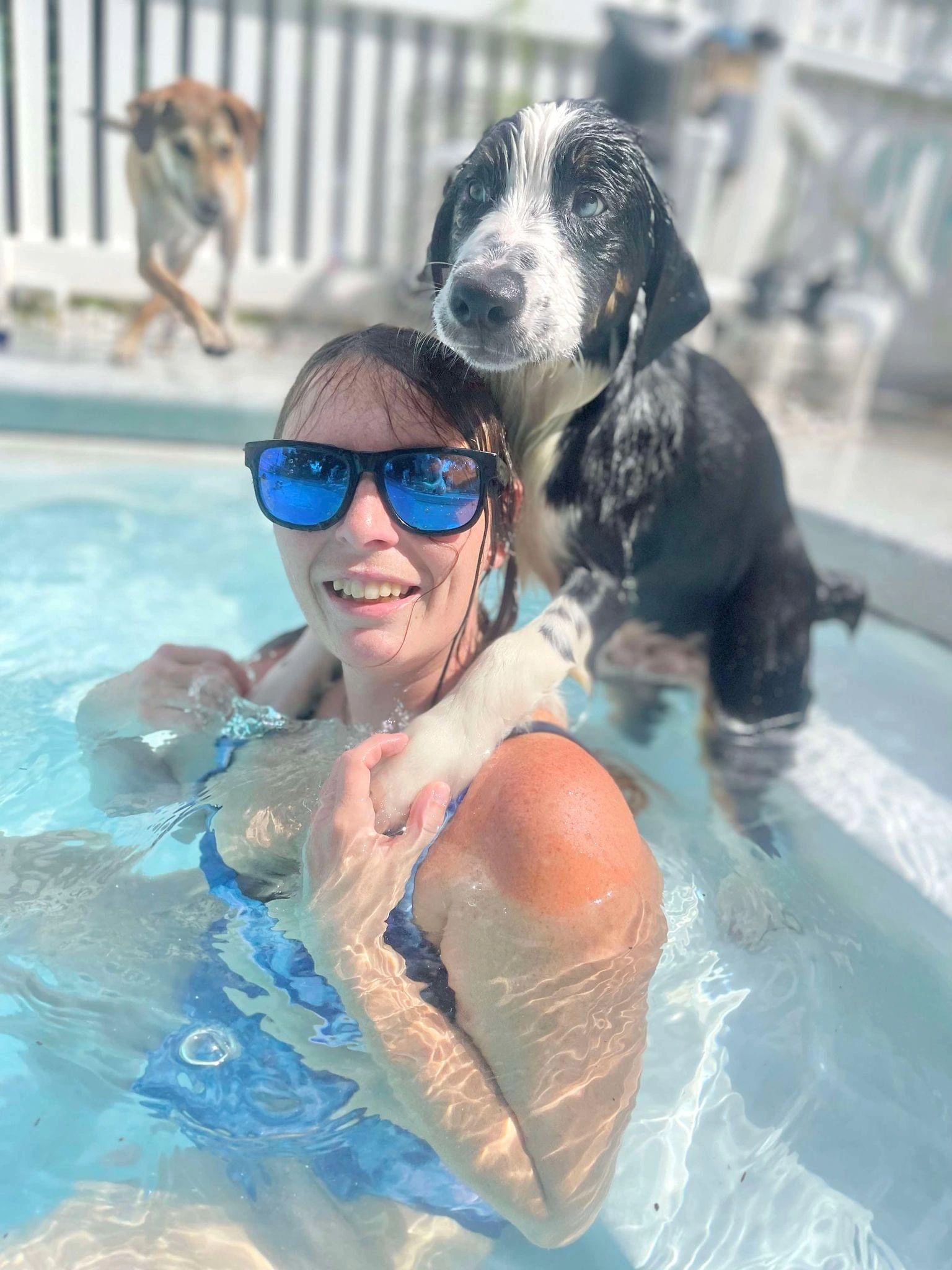 Dog Therapeutic Swimming in Orange City, FL