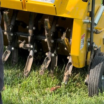lawn maintenance.