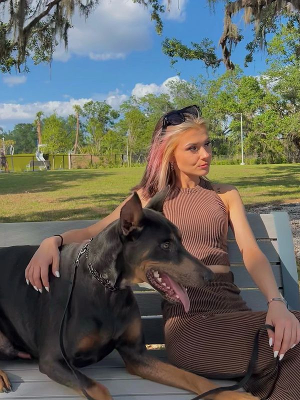 Kylee's K9s with a cool dog in sunglasses and contact number.