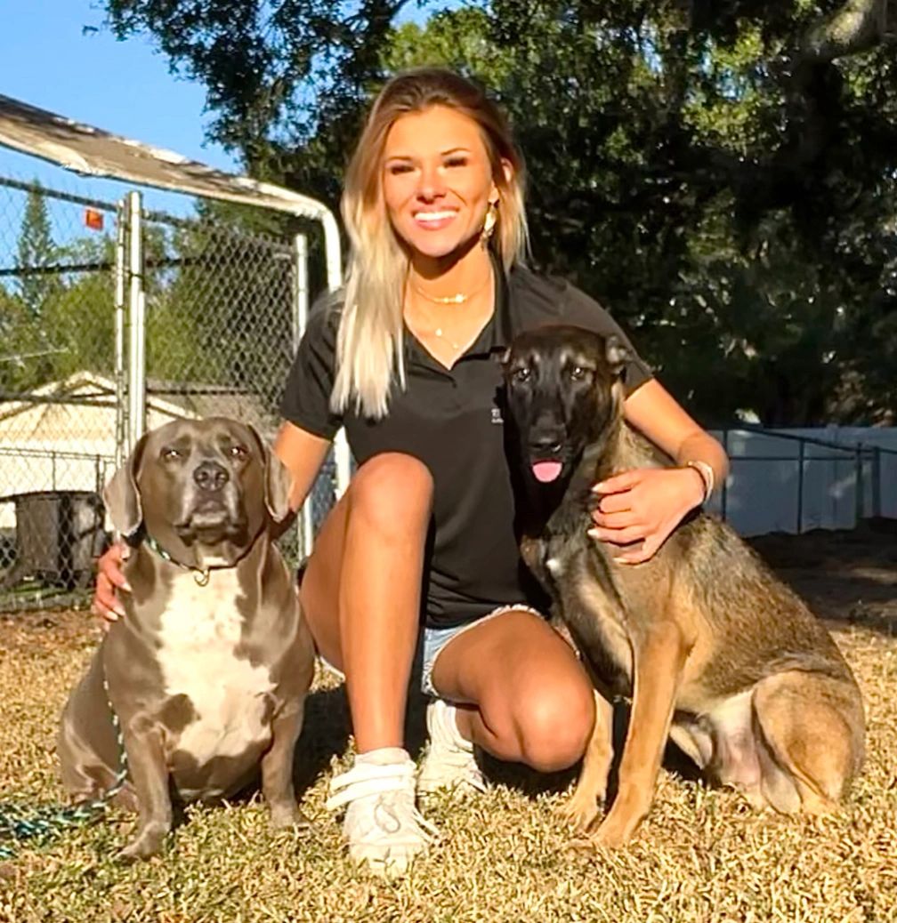 Professional Dog Training for Every Breed and Challenge