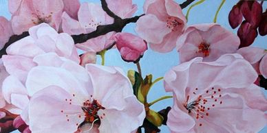 Close-up of pink cherry blossoms against a blue sky.