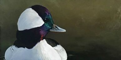 Painting Birds Oils