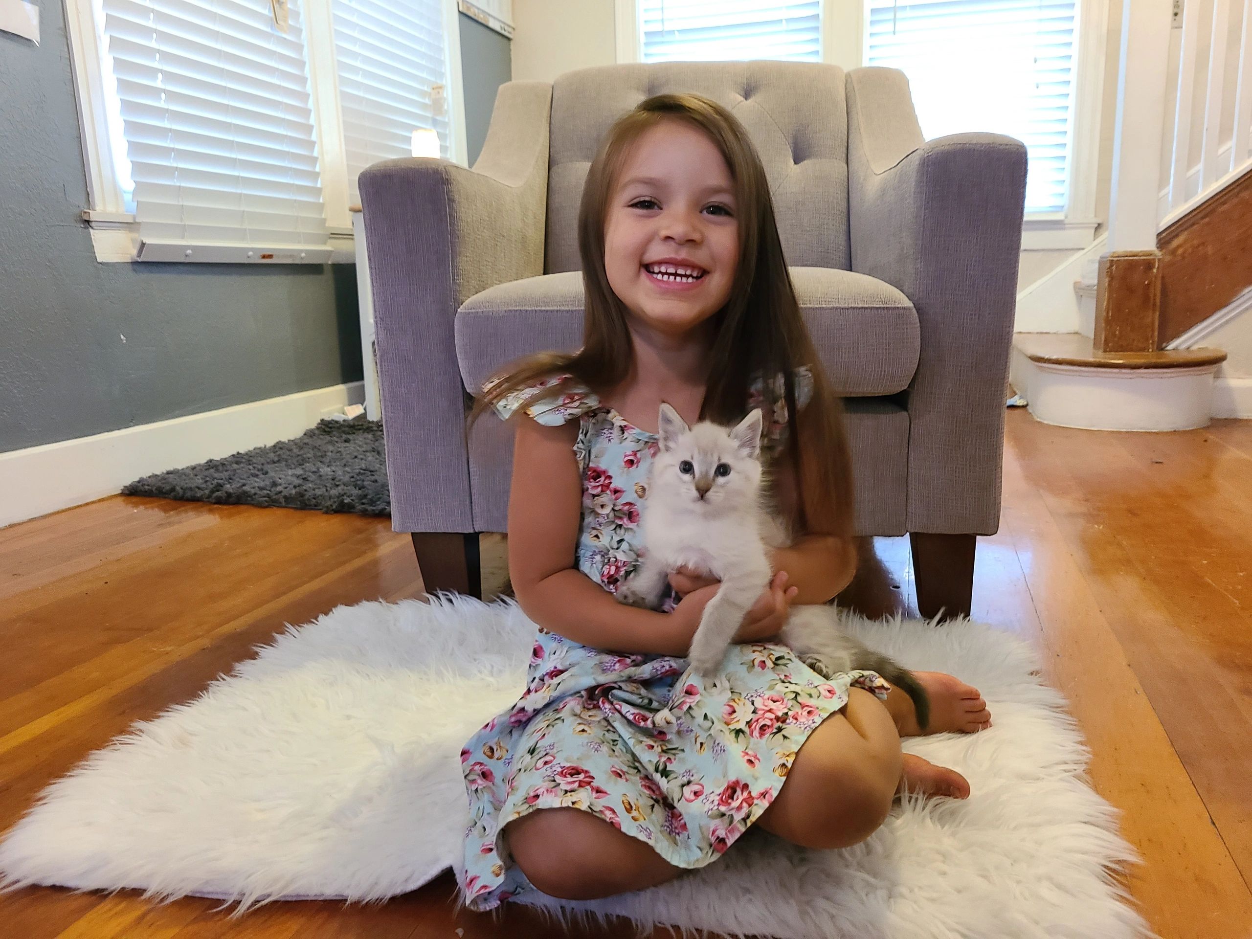 A girl sitting on a clean rug and hardwood floor with clean upholstery
