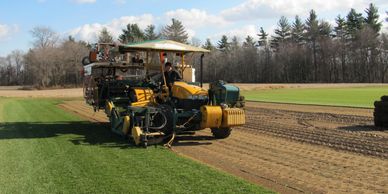 Harvesting sod in the field.