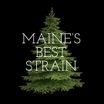 Maine's Best Strain