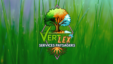Logo of Vertex landscaping services with a colorful tree illustration.