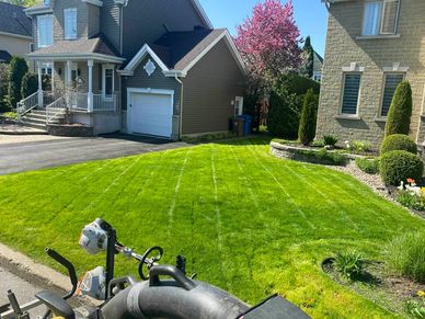 Freshly mowed green lawn between two houses on a sunny day.