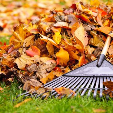 A rake resting on a pile of colorful autumn leaves on green grass.