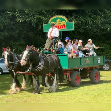 A horse-drawn carriage carrying passengers through a grassy area.