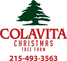 Colavita Christmas Tree Farm 215.493.3563