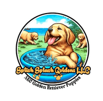 Splish Splash Goldens LLC