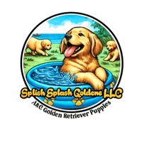 Splish Splash Goldens LLC