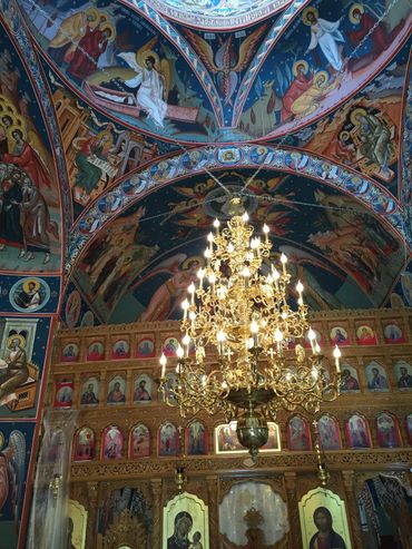 policandru alama 42 brate 