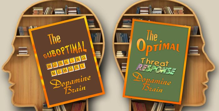ADD ADHD brain - suboptimal dopamine for  working memory but optimal dopamine for threat response.