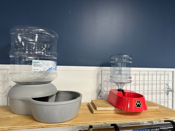 Pet water dispenser & dish