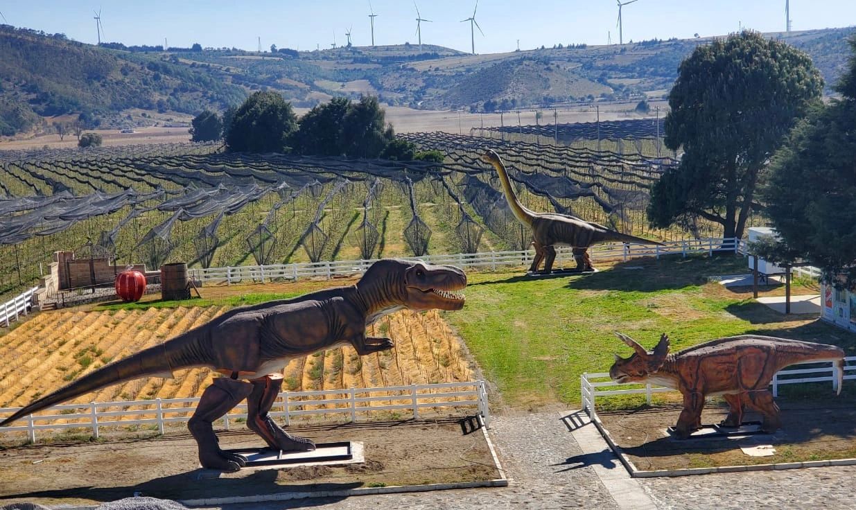 Huerta Dinosaurio Huerta Dinosaurio