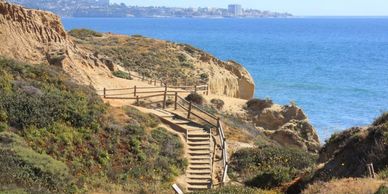 Torrey Pines State Natural Reserve - San Diego, California