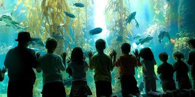 Birch Aquarium - San Diego, California