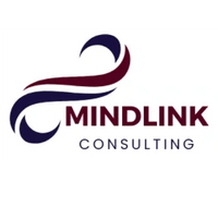 Mind Link Consulting