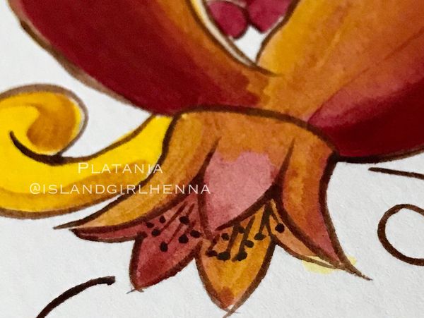 Close-up of a colorful flower illustration with detailed petals.