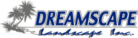 Dreamscape Landscape
