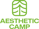 aesthetic-camp.c