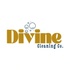 Divine Cleaning Co