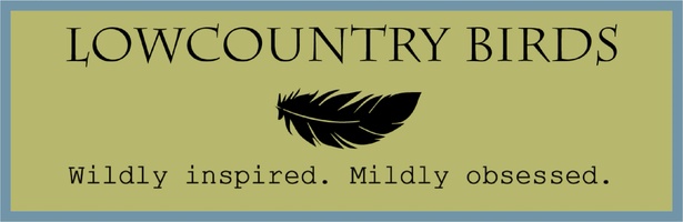 Lowcountry Birds