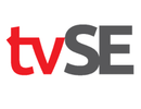 TUBE VENTURES SYSTEM ENGINEERING SDN BHD (1419942-D)