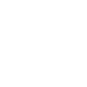 Yin Solutions