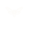 Restaurant Cicada