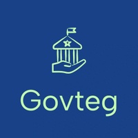 Government Efficiency Group, Inc.