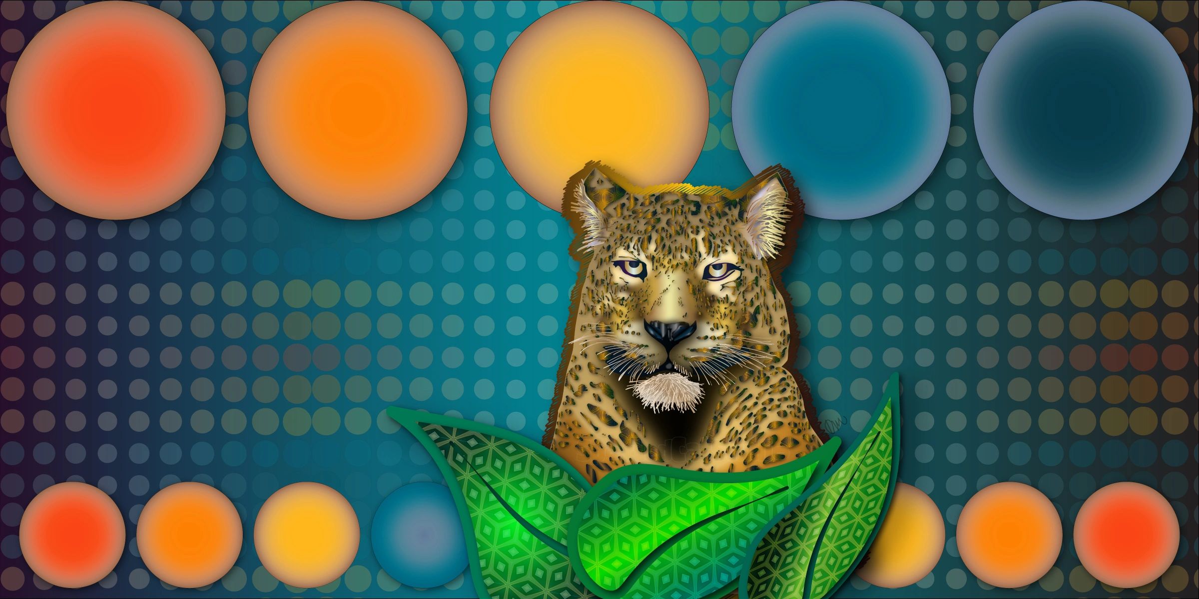 Portfolio Spotted Cat Studio