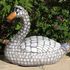White Swan