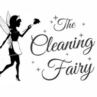 The Cleaning Fairy