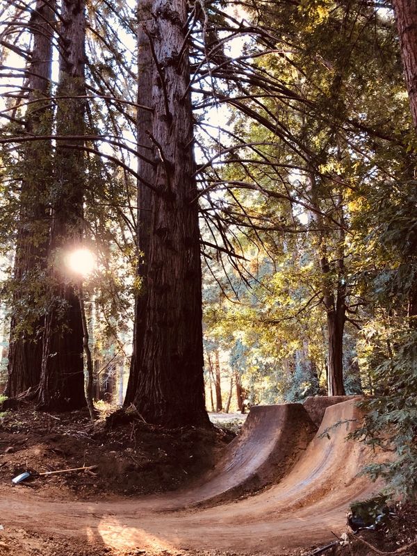 Bike Park Maintenance Service