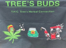 TREE'S BUDS