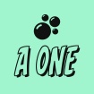 A One Contracting Ltd