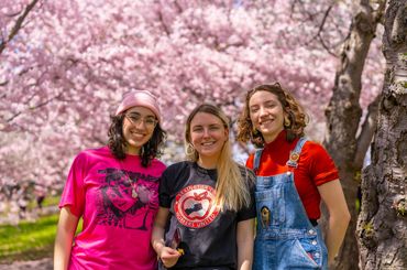 3 smiling young women with cherry blossoms