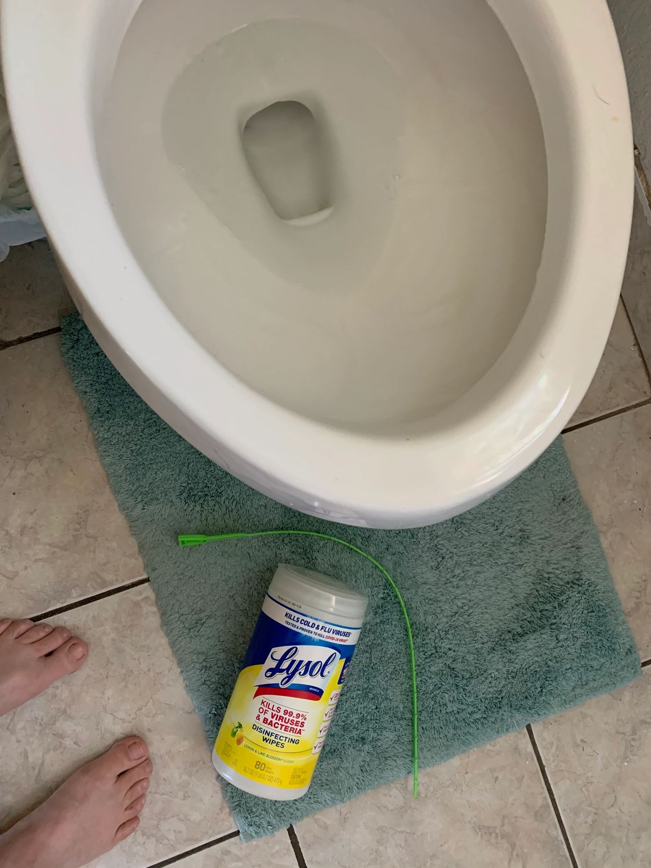 Easy Toilet Cleaning Tips