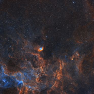 CED 173 Tulip Nebula